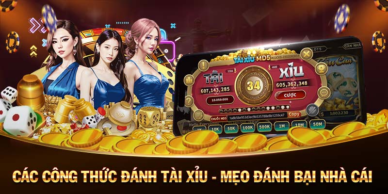 AE8888 Gà Asian Entertainment 8888 Cockfighting AE8888 Gà Asian Entertainment 8888 Cockfighting